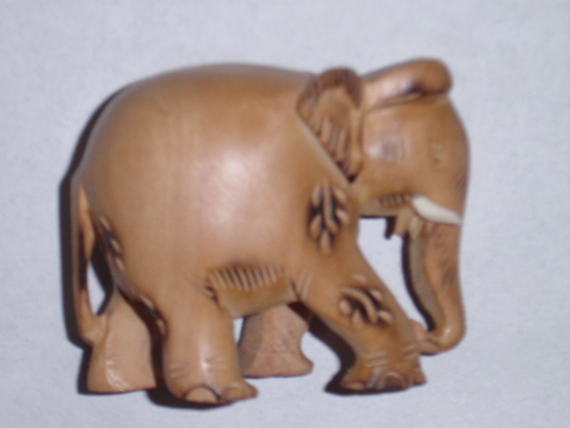 Elephant